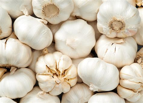 How To Grow Garlic At Home From Cloves