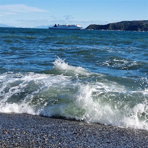 Best Beaches in Lower Hutt - Sandee