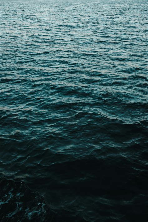 Waves in a Sea in Sunlight · Free Stock Photo