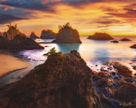 Not So Secret - Artist Reserve – Riley Clark Fine Art