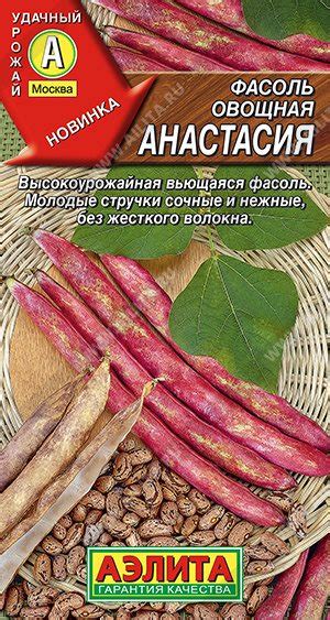 Фасоль Анастасия (Код: 90059) купить, отзывы, фото, доставка ...