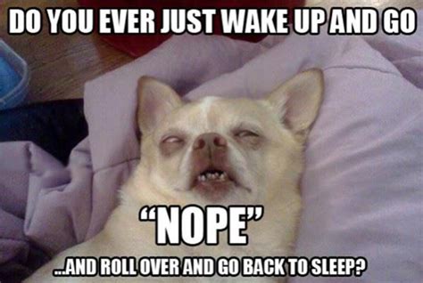 Ever Wake Up | Funlexia - Funny Pictures