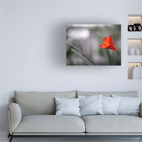 Trademark Fine Art Suzanne Bonin Naked Lady Canvas Art | Wayfair