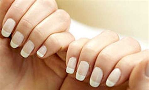 fakta tentang kuku siungmas blog