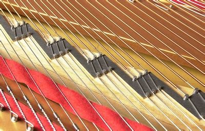 Как струны влияют на звук - Yamaha - Россия
