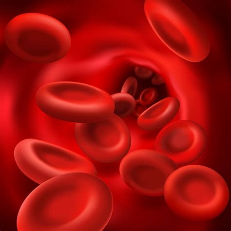 Anemia Is A Common Disease In Children - Bullfrag