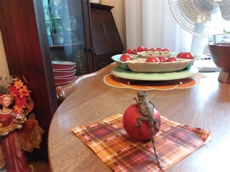 Anton's favorite color was red : r/Lizards