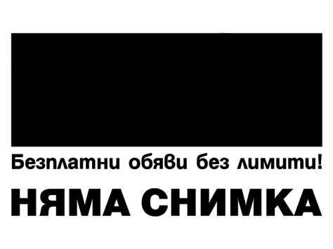 Бебета мини зайче Холандско джудже в Декоративни зайчета в гр. Варна ...