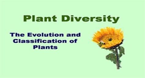 Free Download Plant Divisions PowerPoint Presentation Slides Free Download