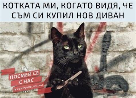 СмЕшНи КаРтИнКи и МеМеТа | Facebook