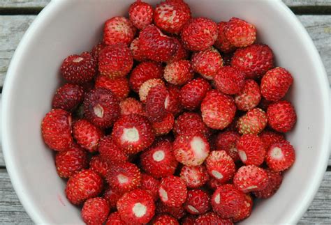 Garden Posts | Wild Strawberries