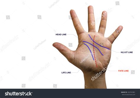 432 Astrology Palm Images Images, Stock Photos & Vectors | Shutterstock