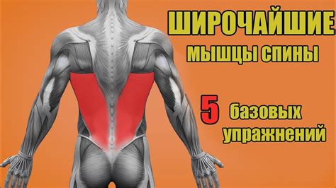 ШИРОЧАЙШИЕ МЫШЦЫ СПИНЫ. 5 БАЗОВЫХ УПРАЖНЕНИЙ. + ОШИБКИ УБИВАЮЩИЕ ...