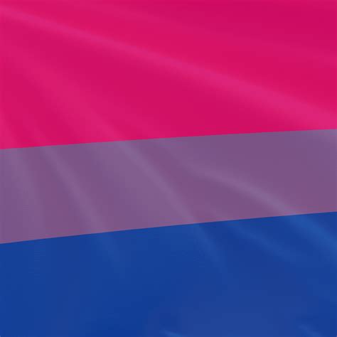 Bisexual Flag - EqualiTee