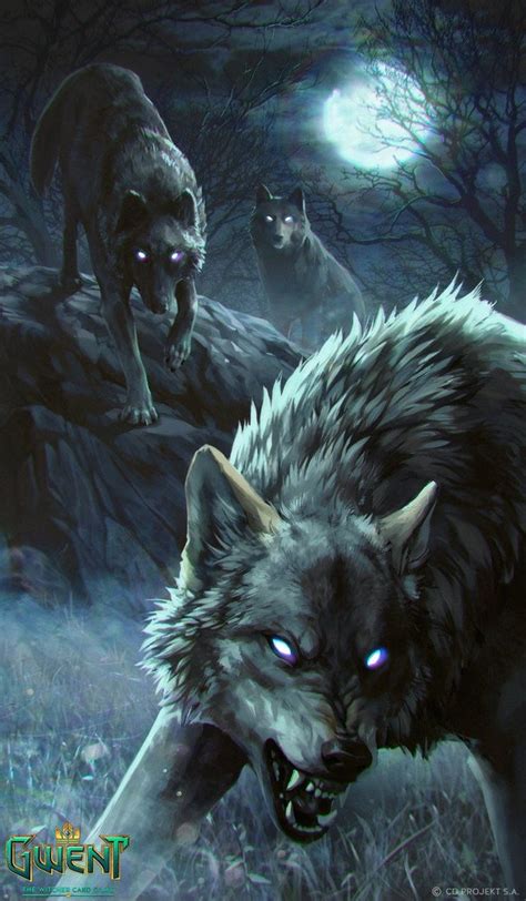Rabid Wolf Card Art : r/gwent