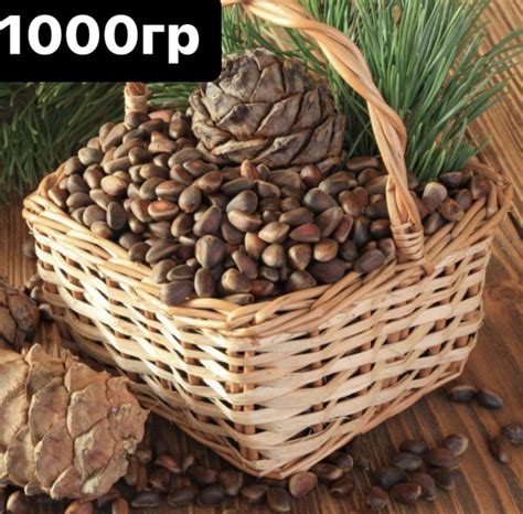 Орех кедровый в скорлупе 1 кг Кедровый орех не очищенный 1000 гр Сбор ...