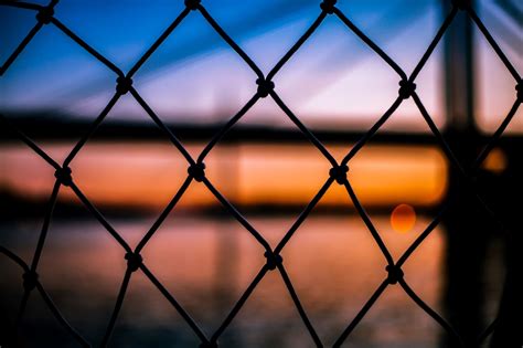 Belgrade Cruises | Belgrade Turtle Cruise