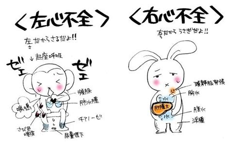cartoon drawings  words written  english  chinese