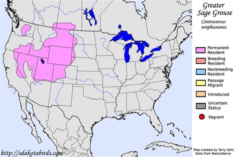 greater sage grouse species range map