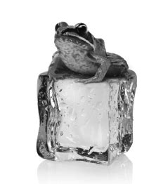 icefrog - pagesthemagazine.com