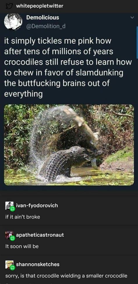Crock Dile, Master of the Crocodile Blade : r/Bossfight