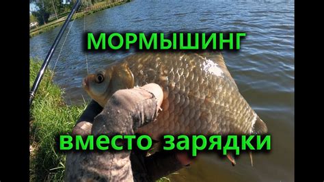 МОРМЫШИНГ ВМЕСТО ЗАРЯДКИ - YouTube