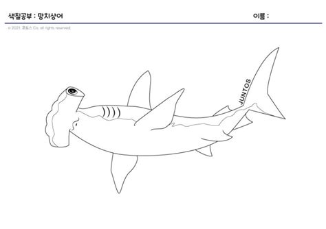 [훈토스연구소]톱상어도안안/망치상어도안/톱상어색칠/망치상어색칠/청주감각통합추천/청주감각통합치료/청주미술치료/청주심리상담/감각통합 ...
