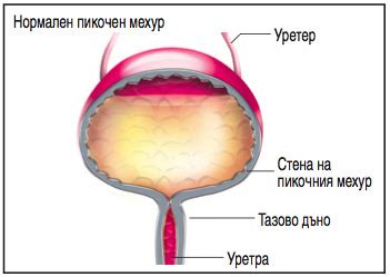 Моето бебе