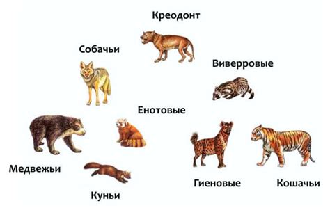 Хищные животные - Животный мир