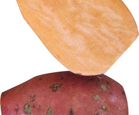 Yam Png Image2 - Portable Network Graphics - Free Transparent PNG ...