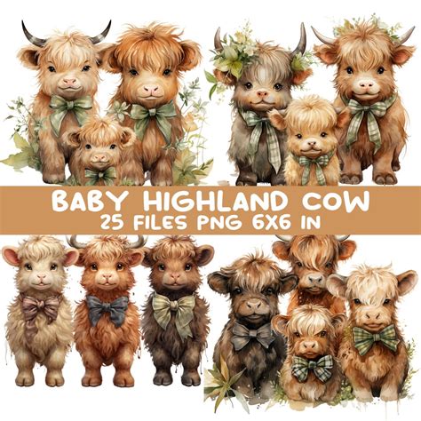 Baby Highland Cow Nursery Decorations Clipart Bundle 25 PNG Watercolor ...