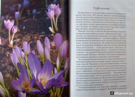 Книга: Растения из Красной книги России - Юлия Дунаева. Купить книгу ...
