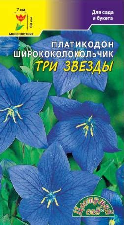семена платикодон