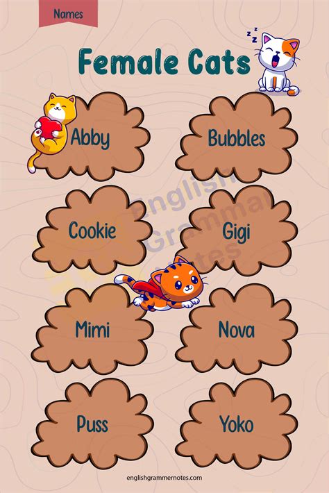 Cat Names | List of Cat Names and Popular Names of Male and Female Cats