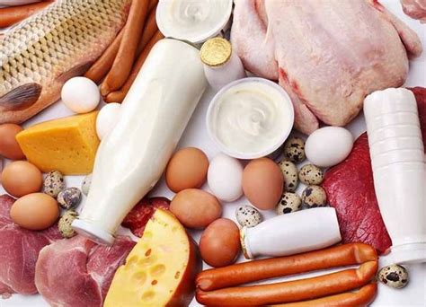 В каких продуктах больше всего белка?