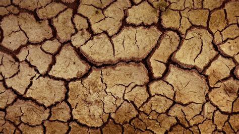 expansive clay soil  dallas  hidden geotechnical challenge