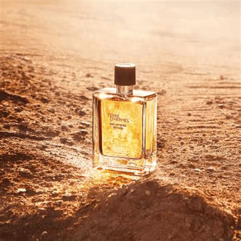 HERMES Terre D’Hermes Eau de Toilette (For Men) 50ml / 100ml – LMCHING ...