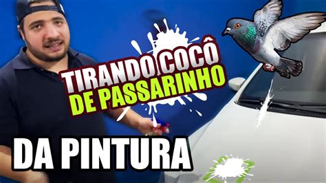 Como Tirar Coco De Passarinho Do Carro