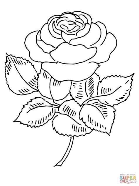 Rose Bush Coloring Pages at GetColorings.com | Free printable colorings