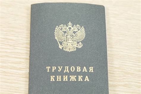 Все трудовые книжки россиян оцифрованы