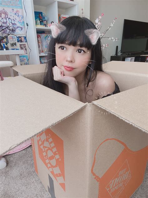 ADORABLE KITTY X KUM OF PACK