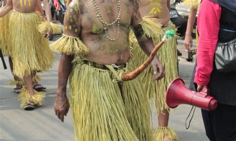 foto bentuk koteka terbuat   manfaat  terancam punah