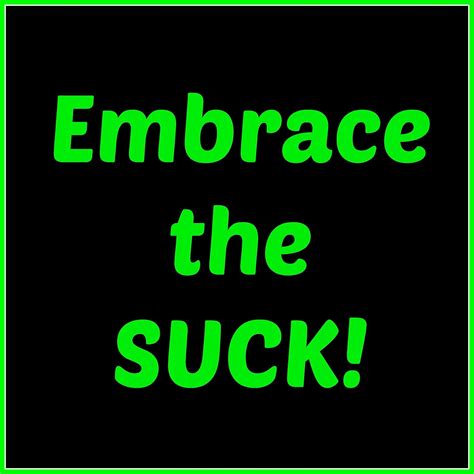 Embrace The Suck Meaning 2