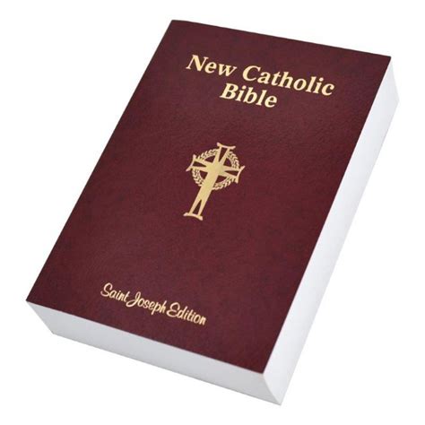 New American Version Bible For Easyworship 4