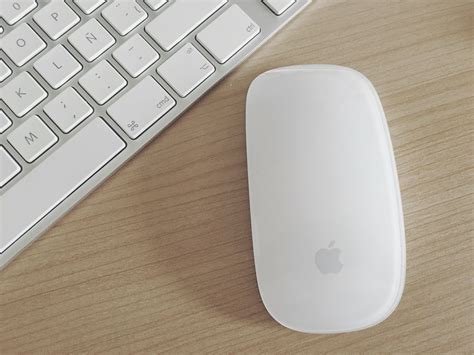 Apple mouse