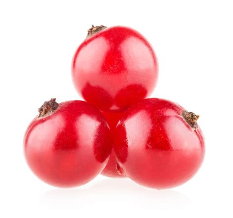 Free photo: Red Berries - Berries, Berry, Fruit - Free Download - Jooinn