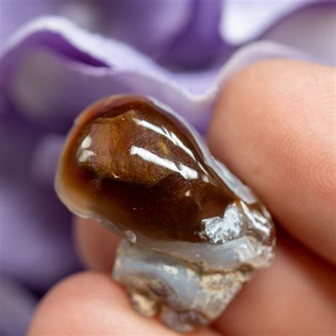 Fire Agate #6 - The Crystal Council