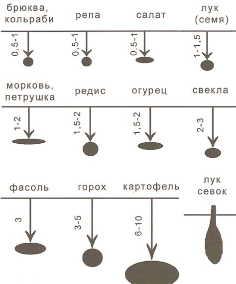 ПОСЕВ СЕМЯН: сроки, технологии, секреты. Обсуждение на LiveInternet ...