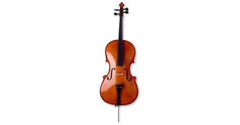 What Is A Cello? | Cello Facts For Kids | DK Find Out