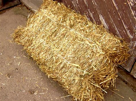 Продам солому в тюках с доставкой в Запорожье - Оголошення Agrostory